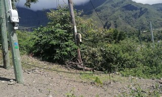 Photo N° 2