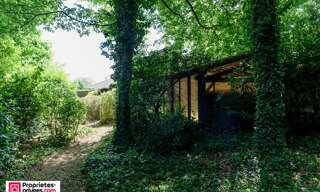 Photo N° 6