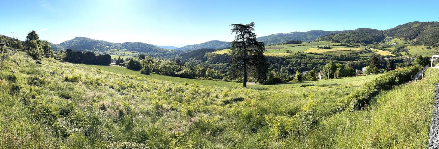 Local industriel  972 m² à vendre à Bourg-Argental (42220)