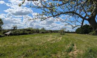 Terrain  1000 m² à vendre à Noyant-de-Touraine (37800)