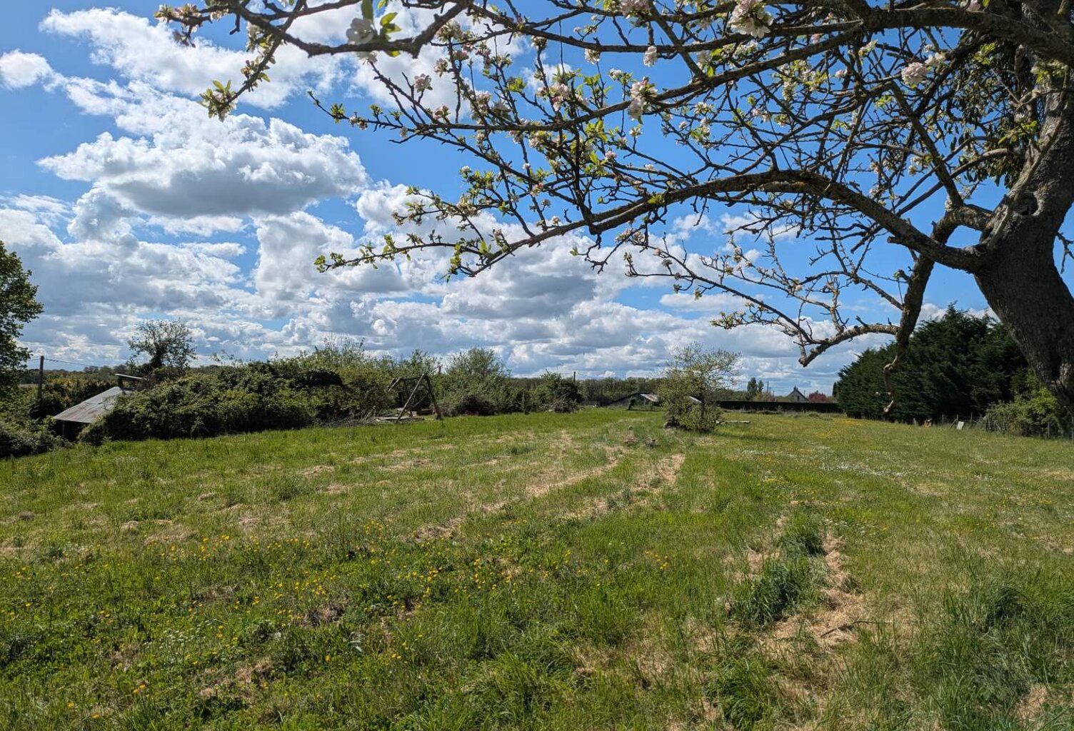 Vente terrain  1000 m² Noyant-de-Touraine (37800) — photo 1