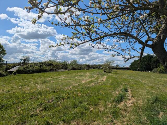 Terrain 1000 m² à Noyant-de-Touraine — photo du bien