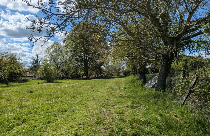 Vente terrain  1000 m² Noyant-de-Touraine (37800) — photo 4