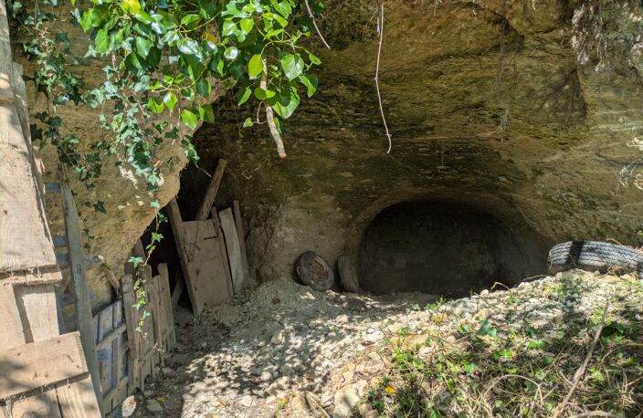 Vente terrain  1000 m² Noyant-de-Touraine (37800) — photo 5
