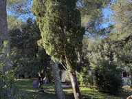 A Vendre sur Terrain de 1700m2 Mazet Style Villa Secteur les — photo 3