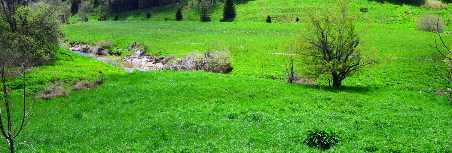 Maison 7 Pièces 110 m² à vendre à Lanarce (07660)