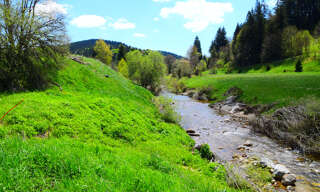 Photo N° 2