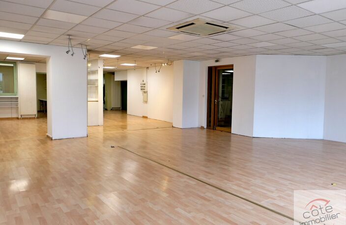 LOCAL COMMERCIAL OU PROFESSIONNEL -  490 M2/SOL  EN EXCELLENT ETAT. — photo 2