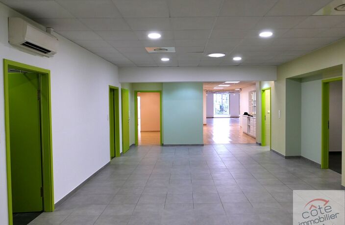 LOCAL COMMERCIAL OU PROFESSIONNEL -  490 M2/SOL  EN EXCELLENT ETAT. — photo 5