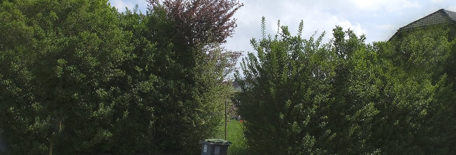 Terrain  964 m² à vendre à Diebling (57980)