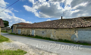 Photo N° 16