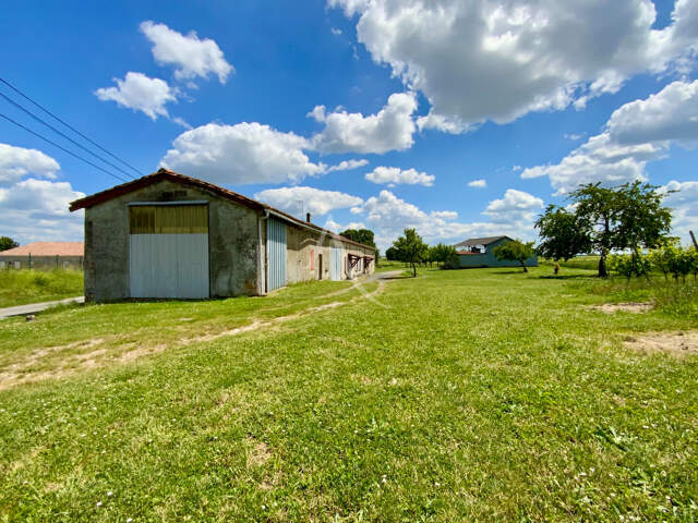 Maison Charentaise à rénover dans un cadre champêtre à 10 min de Jonzac — photo du bien