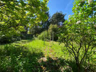 Maison  4 pièces  sur beau terrain arboré. — photo 2