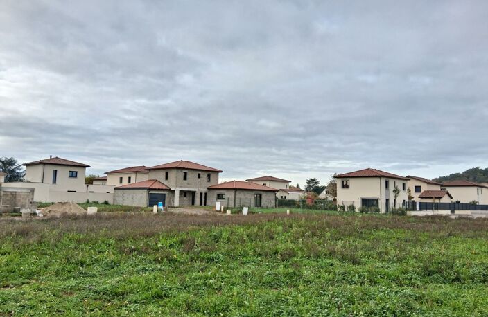 Terrain — photo 2