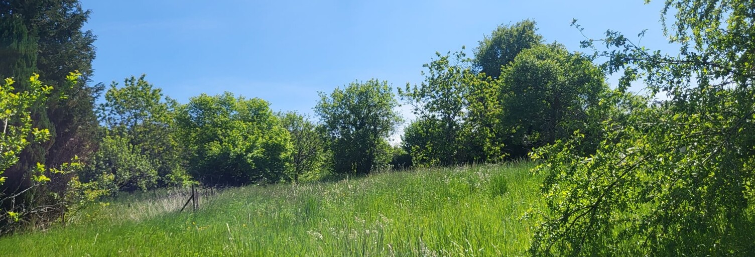 Terrain  1938 m² à vendre à Flize (08160)