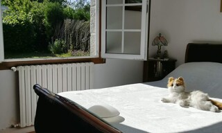 Photo N° 4