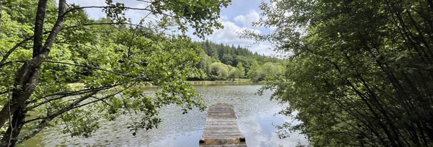 Terrain  14580 m² à vendre à Bussière-Galant (87230)