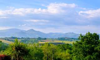 Maison 7 Pièces 238 m² à vendre à Ustaritz (64480)