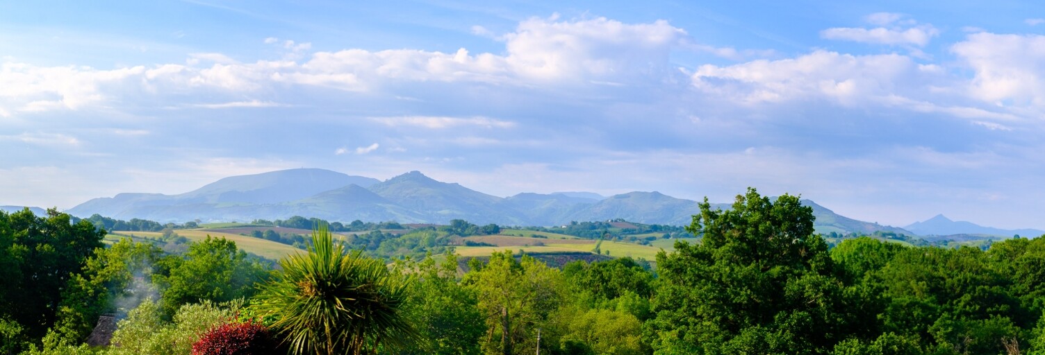 Maison 7 Pièces 238 m² à vendre à Ustaritz (64480)