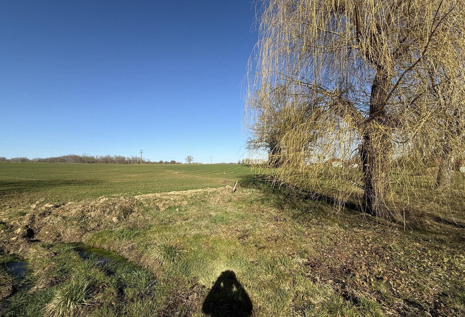 Vente terrain  1775 m² Lusigny-sur-Barse (10270) — photo 1