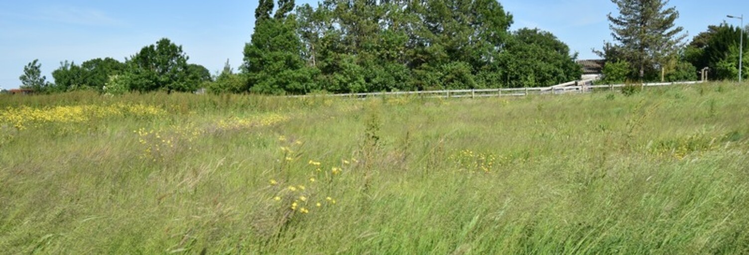 Terrain  596 m² à vendre à Vallons-de-l'Erdre (44540)