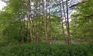 Maison  405 m² à vendre à Courtemaux (45320)