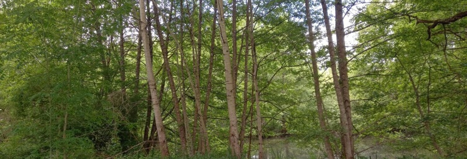 Maison  405 m² à vendre à Courtemaux (45320)