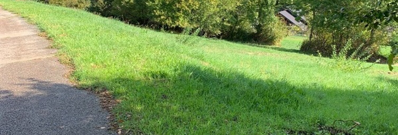 Terrain  607 m² à vendre à Curienne (73190)