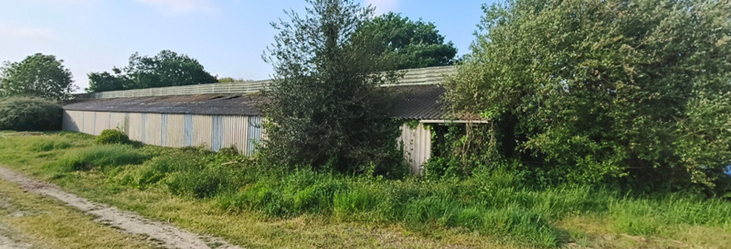 Immeuble  800 m² à vendre à Plounévézel (29270)