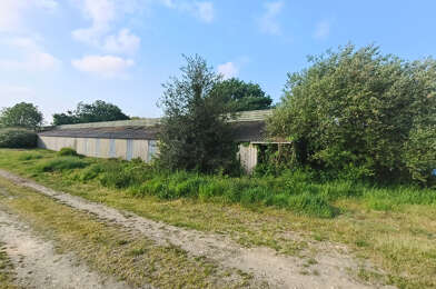 Immeuble  46500 €
