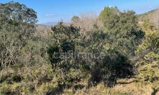 Maison  16930 m² à vendre à Gassin (83580)