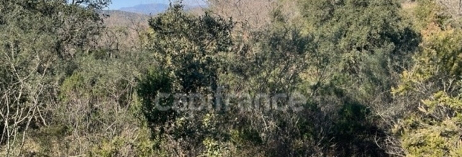 Maison  16930 m² à vendre à Gassin (83580)