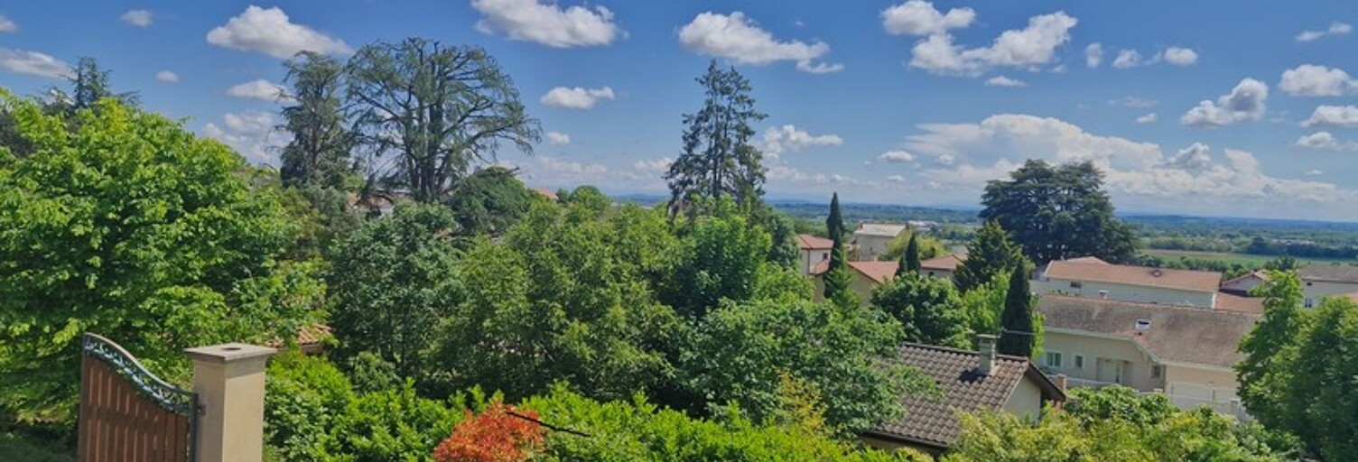 Maison 10 Pièces 414 m² à vendre à Beynost (01700)