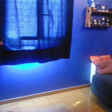 Appartement 1 pièces 300 €