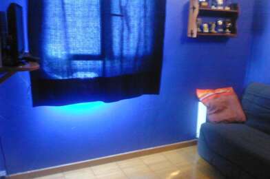 Appartement 1 pièces 300 €