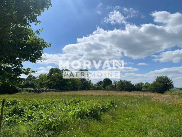 TERRAIN A BATIR COEUR NIVERNAIS - PLU - ASSAINISSEMENT COLLECTIF - 2590 m2 — photo 1