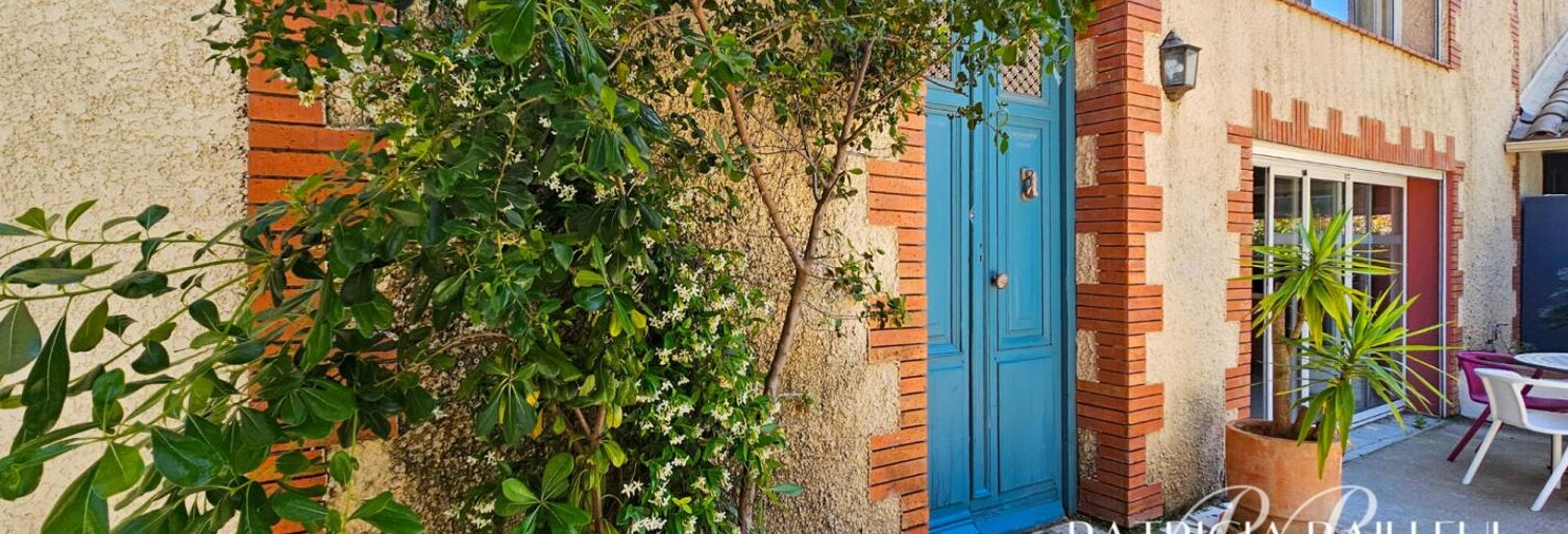 Maison 26 Pièces 630 m² à vendre à Saint-Cyprien (66750)