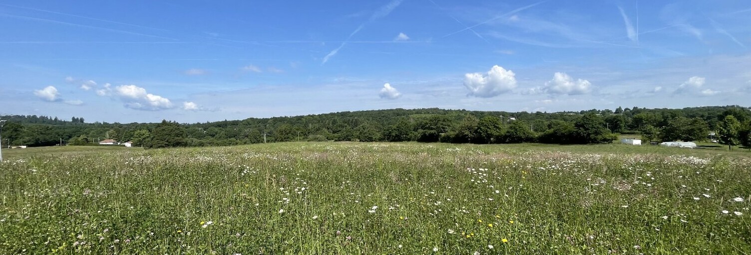 Terrain  1566 m² à vendre à Feytiat (87220)