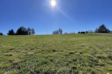 Terrain  98000 €