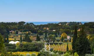 Maison 9 Pièces 240 m² à vendre à Cassis (13260)