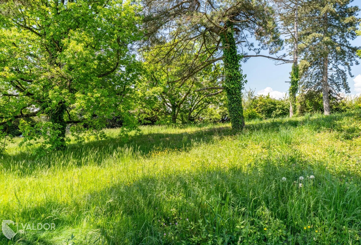 Terrain viabilisé avec vue dégagée dans un secteur privilégié — photo 1