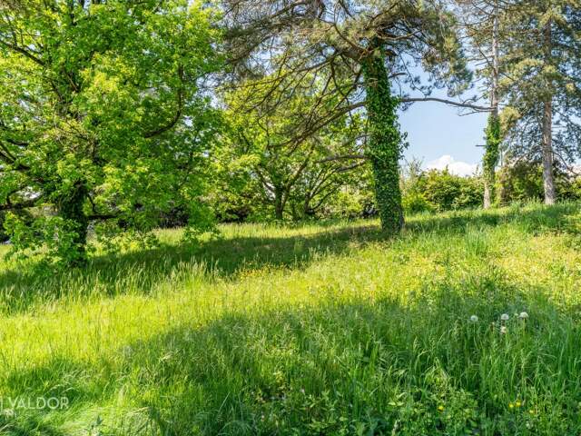 Terrain viabilisé avec vue dégagée dans un secteur privilégié — photo du bien