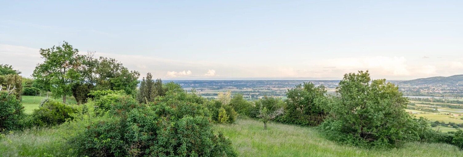 Terrain  547 m² à vendre à Marcy (69480)