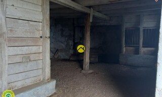 Photo N° 6