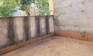 Photo N° 6