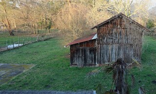 Photo N° 8