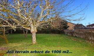 Photo N° 4