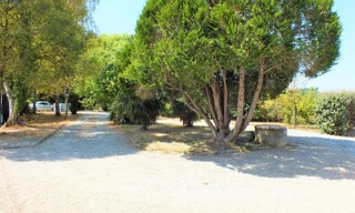 Photo N° 3