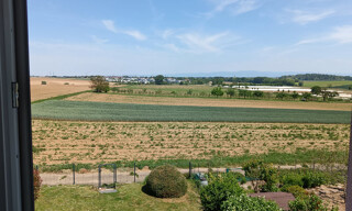 Photo N° 9
