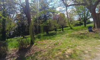Photo N° 4